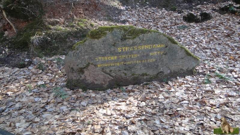 Ritterstein Nr. 246-3a Strassendamm - Strecke Speyer - Metz Römerzeit - Mittelalter.JPG - Ritterstein Nr.246 Strassendamm - Strecke Speyer - Metz Römerzeit - Mittelalter